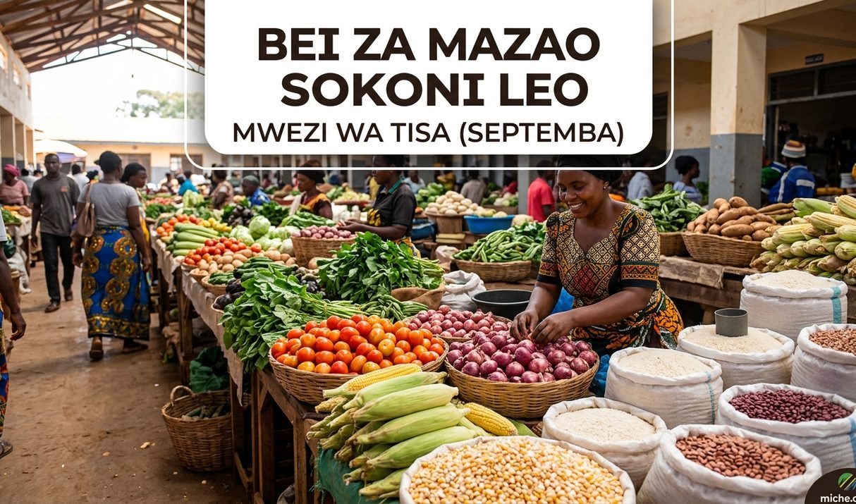 Bei za mazao sokoni leo Mwezi wa Tisa (septemba)